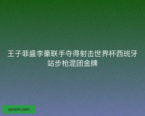 王子菲盛李豪联手夺得射击世界杯西班牙站步枪混团金牌